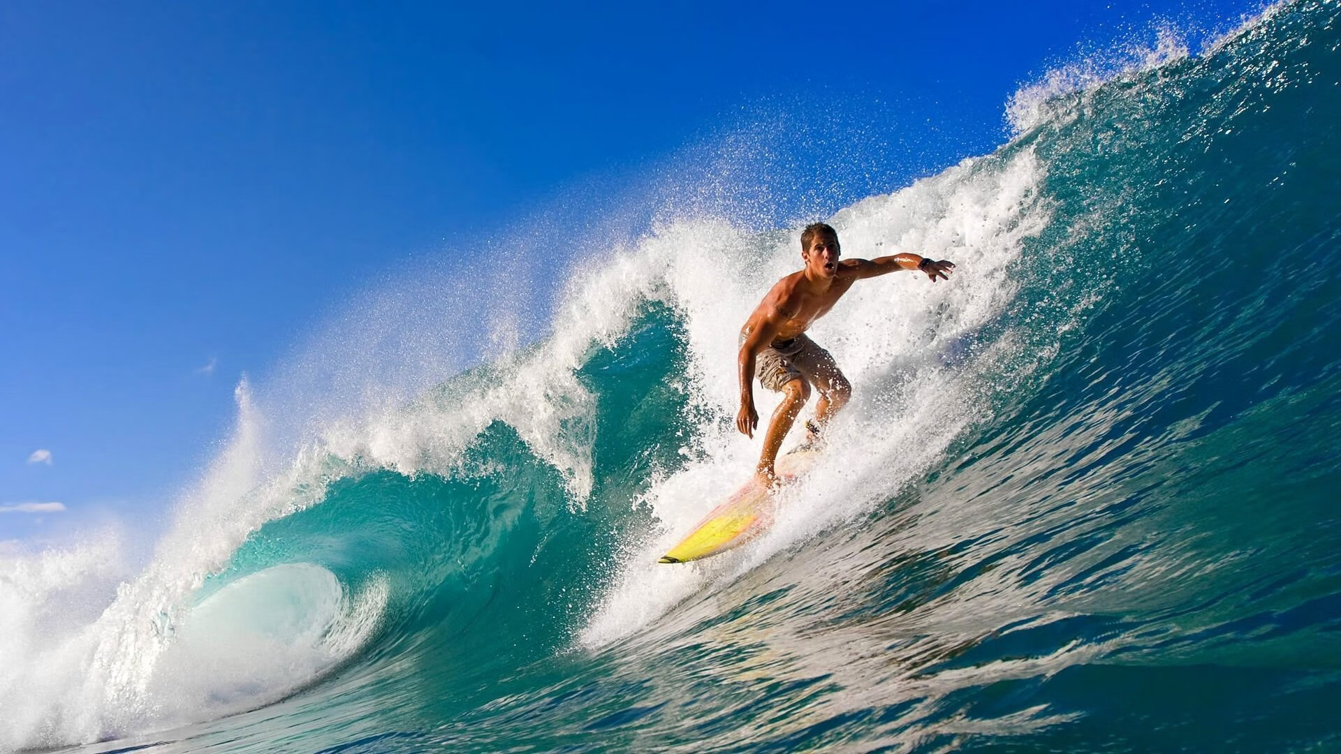 开云全站-荷兰队在欧洲预赛中持续领先，晋级希望大增
